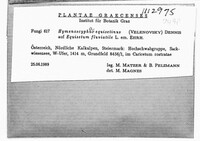 Image Associated With the Occurence